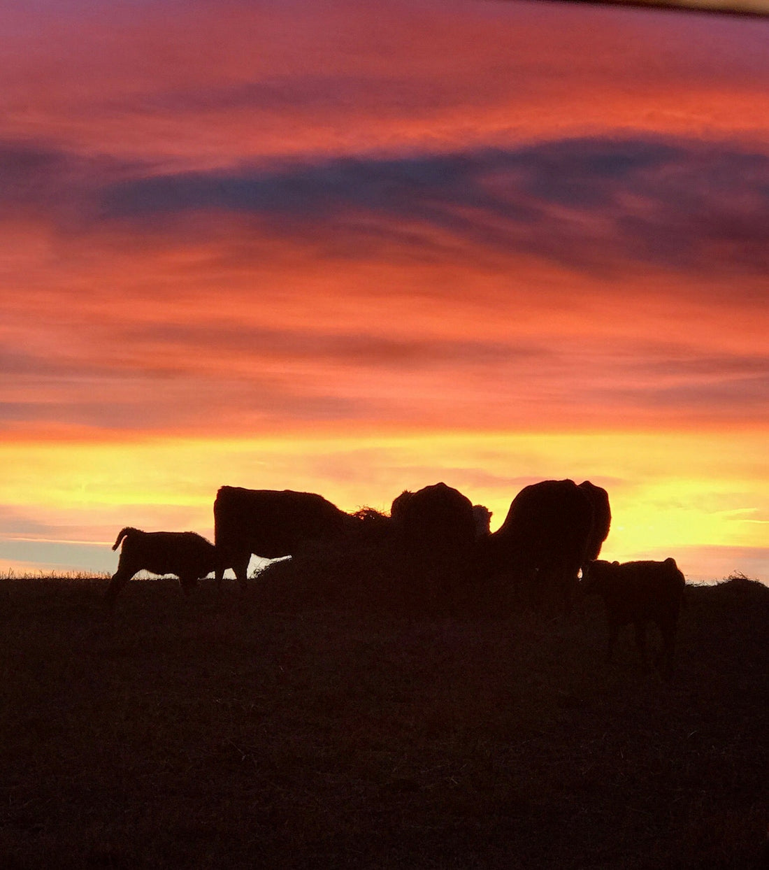 Solstice, Endings, Justice, and Hope (from July 2020)