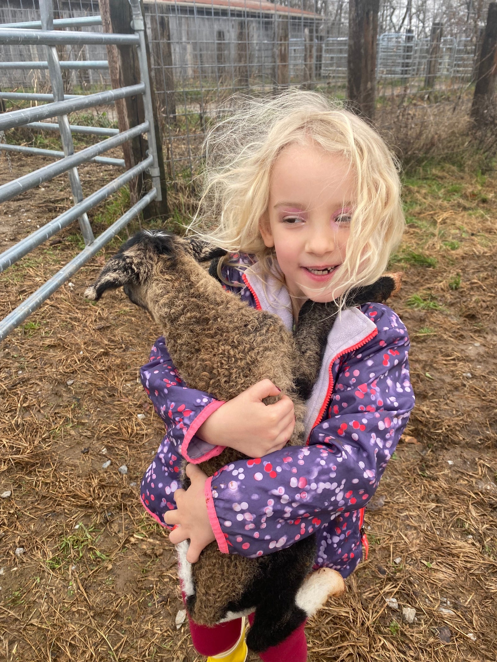 Lick Skillet Farm photo 23