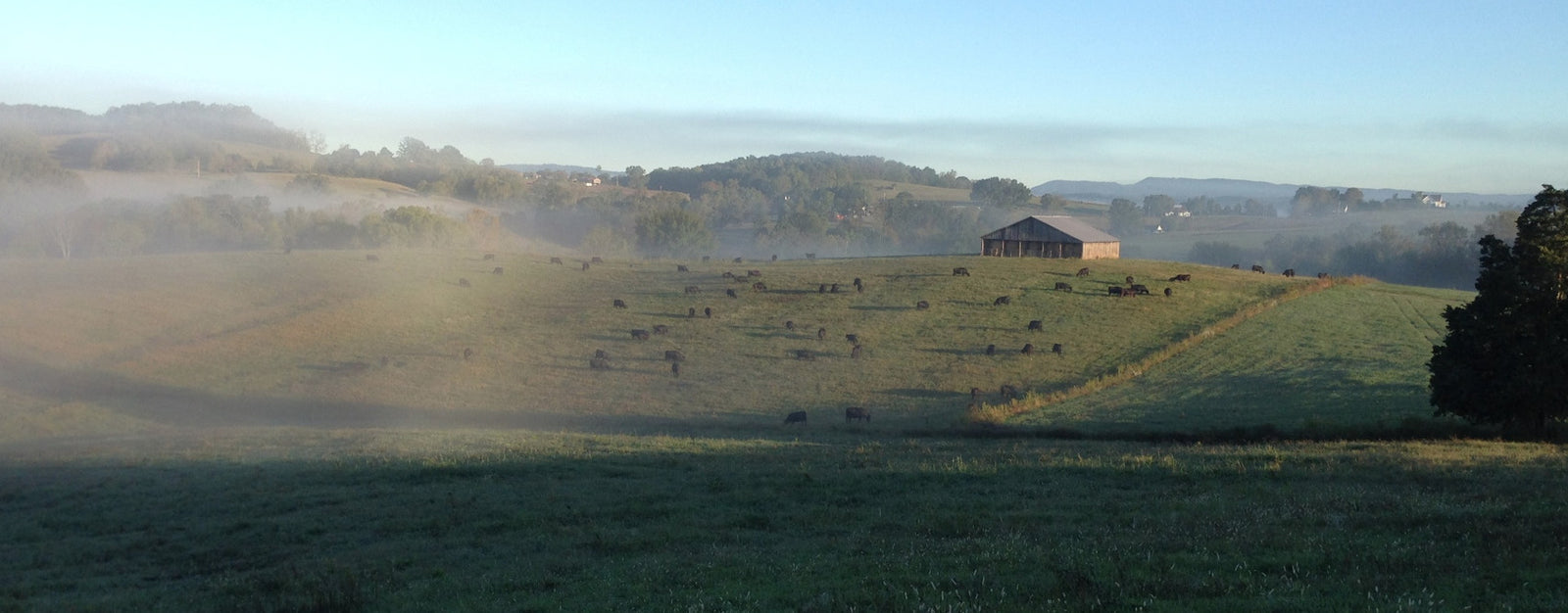 Lick Skillet Farm photo 8